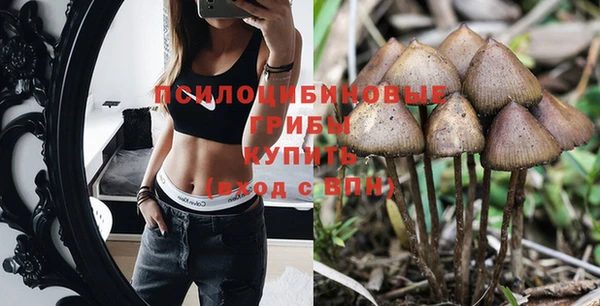 герыч Абинск
