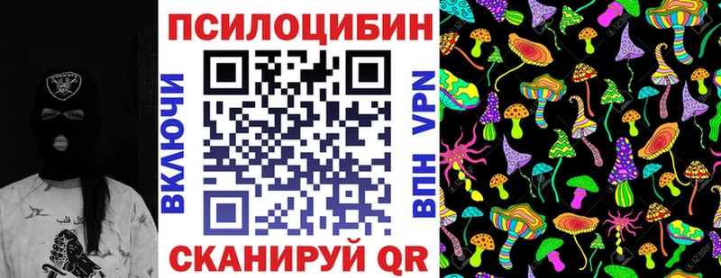 Псилоцибиновые грибы Cubensis  Шебекино 