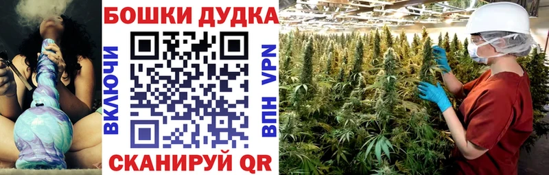 Каннабис гибрид  Шебекино 